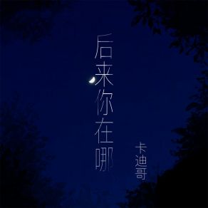 Download track 后来你在哪 (伴奏) 卡迪哥