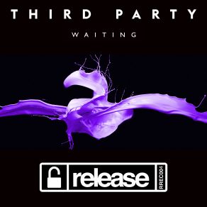 Download track Waiting (Radio Edit) Third Party