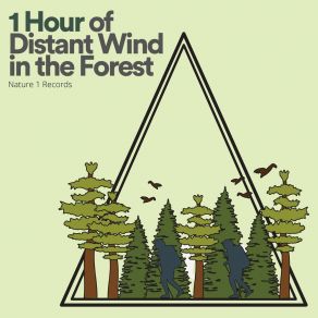 Download track 1 Hour Of Distant Wind In The Forest, Pt. 3 Sound Of Nature Library