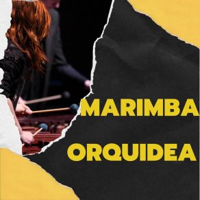 Download track Gritenme Piedras MARIMBA ORQUIDEA