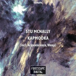 Download track Kapmooka (Original Mix) Stu McNally