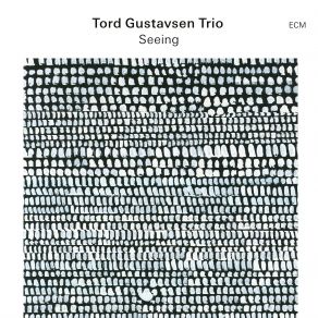 Download track Seattle Song Tord Gustavsen Trio