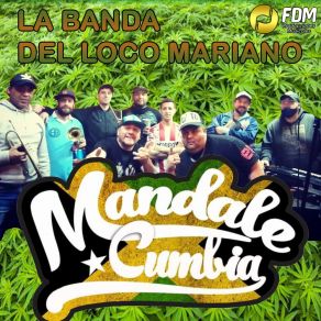 Download track Los Solteros La Pasamos Bien Mandale Cumbia