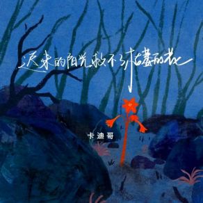 Download track 迟来的阳光救不了枯萎的花 卡迪哥