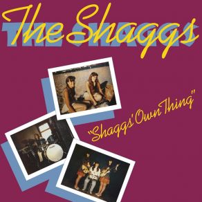 Download track Wipe Out (Bonus Track) The Shaggs