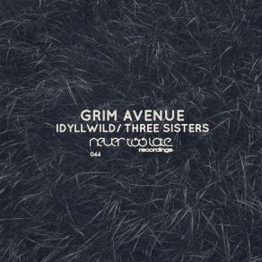 Download track Idyllwild (Original Mix) Grim Avenue