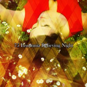 Download track Freed From Insomnia Monarch Baby Lullaby Institute