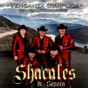 Download track El Amante Apacionado Shacales De Sonora