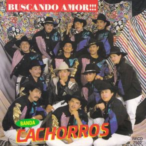 Download track Buscando Amor Banda Cachorros