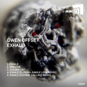 Download track Golden Cat Owen Offset