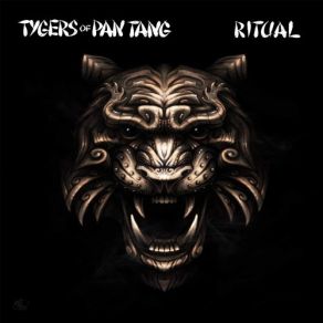 Download track Don't Touch Me There (2019 Version) Tygers Of Pan TangVersion