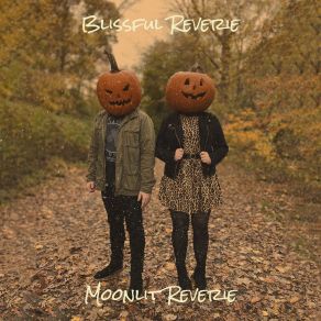 Download track Velvet Dusk Moonlit Reverie