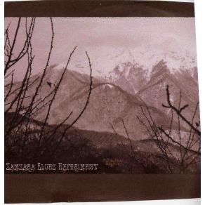 Download track Double Freedom Samsara Blues Experiment