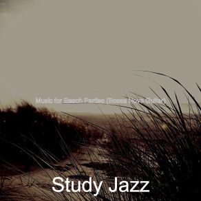 Download track Bossa Quintet Soundtrack For Beach Parties Jazz Study