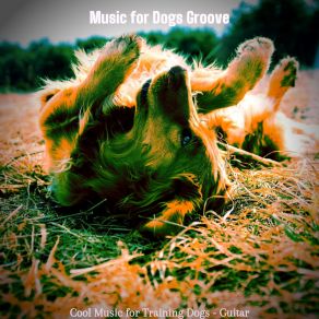 Download track Spectacular Jazz Guitar Trio - Vibe For Lonely Dogs Music For Dogs Groove