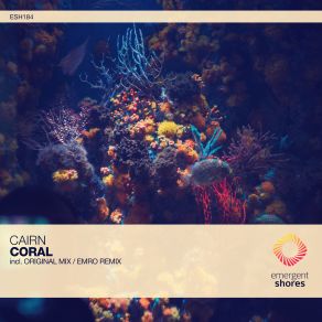 Download track Coral (Original Mix) Cairn