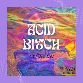 Download track Acid Bitch (Radio Edit) Stewjaw