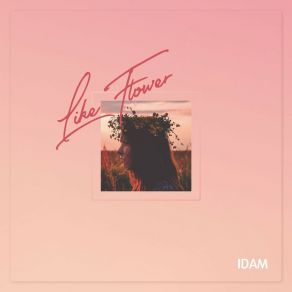 Download track Falling In Love (Inst.) IDAM