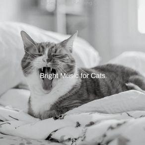 Download track Simplistic (Sleeping Cats) Bright Music For Cats