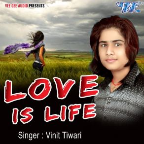 Download track Jayi Ab Janawa Rani Vinit Tiwari