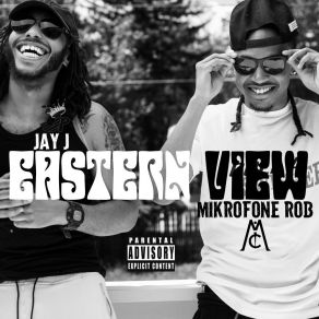 Download track Allstar Mikrofone RobPlay