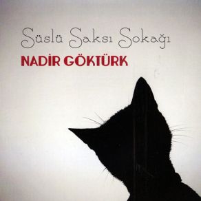 Download track Asikci Nadir Göktürk