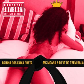 Download track Rainha Dos Faixa Preta DJ VT Do Trem Bala