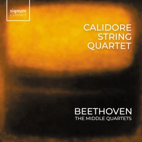 Download track Beethoven: String Quartet No. 11 In F Minor Op. 95 'Serioso': III. Allegro Assai Vivace, Ma Serioso The Calidore String Quartet