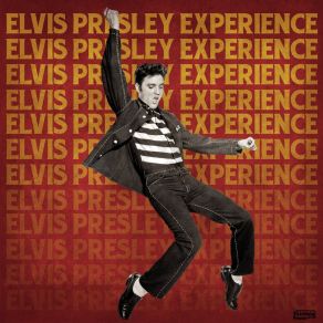 Download track Blue Suede Shoes Elvis Presley ExperienceRock, Rollers