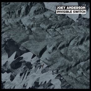 Download track Invisible Switch Joey Anderson