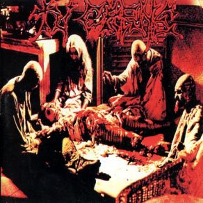 Download track La Repentina Muerte De Tu Puta Madre Tu Carne, Germen, Agony Terror System