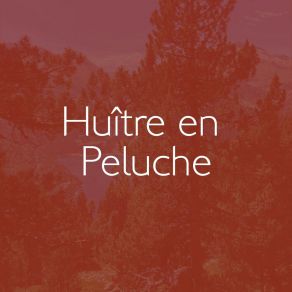 Download track Huître En Peluche Etienne Manchon