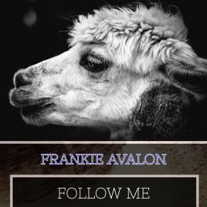 Download track If I Had You Frankie Avalon