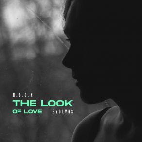 Download track The Look Of Love (Radio Edit) EVOLVRS