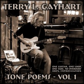 Download track Long Walk Under A Blue Moon Terry L. Gayhart