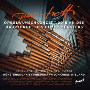 Download track Der Morgen Und Der Abend - 12 Musikstücke Für Das Hornwerk (Salzburger Stier) Der Festung Hohensalzburg Für Den Christmonat Friedemann Johannes Wieland