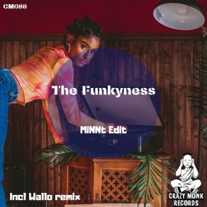 Download track The Funkyness MiNNt Edit