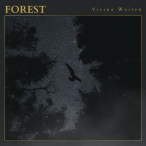 Download track Forest (Radio Edit) Virina Waiten