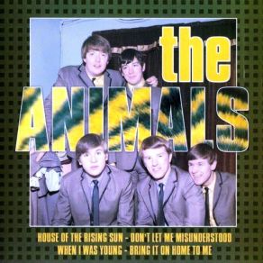 Download track When I Was Young The Animals