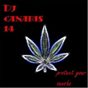 Download track Protect Your Sunsho - Dj Canabis 14 Dj Canabis 14