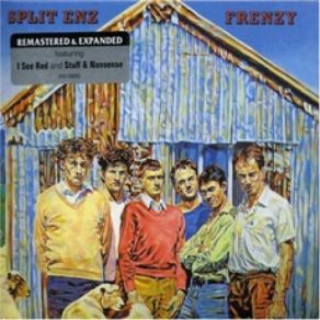 Download track Carried Away Split Enz