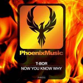 Download track Now You Know Why (Extended Mix) T Bor