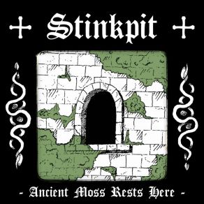 Download track Fungi Colony Stinkpit