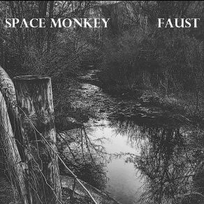 Download track This Here's Gods Country Space Monkey