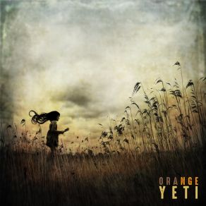 Download track Amer Orange Yeti