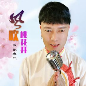 Download track 风吹桃花开 (DJ何鹏版伴奏) 咪依鲁江