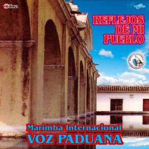 Download track Patzún De Mis Recuerdos Marimba Internacional Voz Paduana