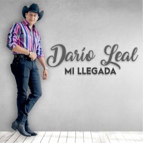 Download track Mujeres De Casanare Dario Leal