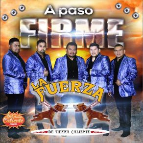 Download track La Clásica Verde La Fuerza De Tierra Caliente