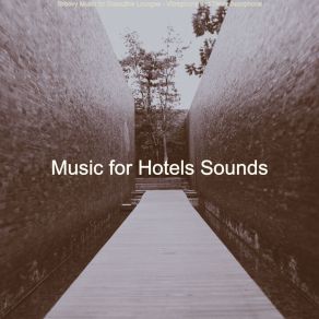 Download track Fantastic Hotel Lounges Music For Hotels Sounds